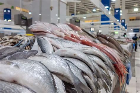 新市蘸水魚怎麼樣