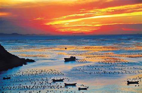 浙江哪個海邊能游泳：探索浙江海岸的游泳胜地